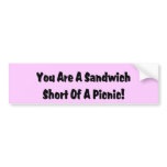 You Are A Sandwich Short Of A Picnic Bumper Sticker