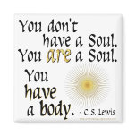 You are a Soul... magnets