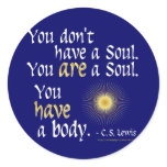 You are a Soul... stickers