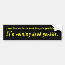 You are an Idiot (Dead Gerbils) Bumper Sticker