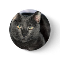 You Are Annoying Me Buttons
