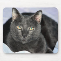 You Are Annoying Me Mouse Pads