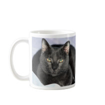 You Are Annoying Me Mugs