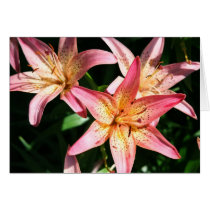 You are beautiful greeting card
