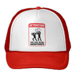 You Are Being Monitored - Office Humour Hats