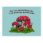 You Are Disturbing Me. I Am Picking Mushrooms Tee Post Cards