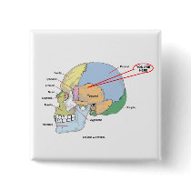 You Are Here (Brain Temporal Region Anatomical)