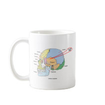 You Are Here (Brain Temporal Region Anatomical) Coffee Mug
