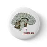 You Are Here buttons