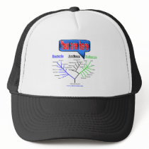 "You Are Here" Evolutionary Tree Hat
