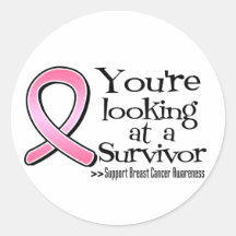 You are Looking at a Breast Cancer Survivor Sticker