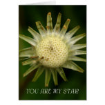 YOU ARE MY STAR - GREETING CARD