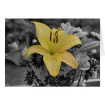you are my sunshine... card