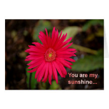You are my sunshine... pink flower garden landscap cards