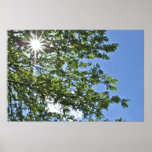 You Are My Sunshine posters