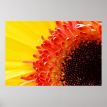 You Are My Sunshine Poster