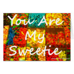You Are My Sweetie Greeting Card