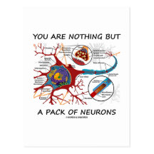 You Are Nothing But A Pack Of Neurons (Synapse) Post Cards