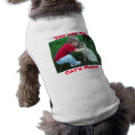 You are the Cat's Meow! pet clothing