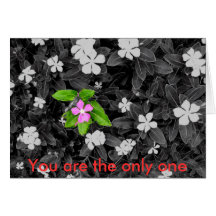 You are the only one cards