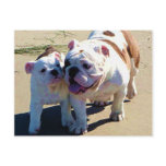 You Belong With Me! postcards