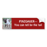You can tell bumpersticker-customise
