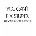 YOU CAN'T FIX STUPID..., BUT YOU CAN VOTE THEM ... t-shirts
