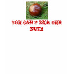 You Can't Lick Our Nutz t-shirts