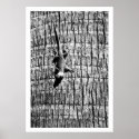 you cant see me posters