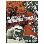 You Can't Stop 'Em Amphibious Forces Custom Flyer
