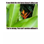 You can't survive without your environment t-shirts