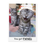 You got PWNED postcards