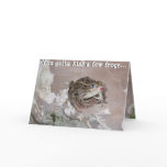 You Gotta kiss a few Frogs cards