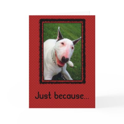 You Make Me Smile Greeting Card by ironydesignphotos