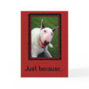 You Make Me Smile cards