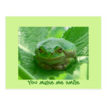 You make me smile - green frog postcard