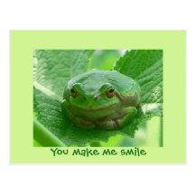 You make me smile - green frog postcard