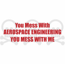 You Mess With Aerospace Engineering You Mess With Photo Cut Out