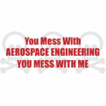 You Mess With Aerospace Engineering You Mess With photo sculptures