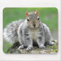 You’re telling me I am a dog in a squirrel’s body? mousepads