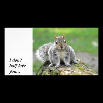 You’re telling me I am a dog in a squirrel’s body photo cards