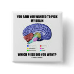 You Said You Wanted To Pick My Brain (Anatomy) buttons