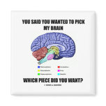You Said You Wanted To Pick My Brain (Anatomy) magnets