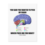 You Said You Wanted To Pick My Brain (Anatomy) postcards