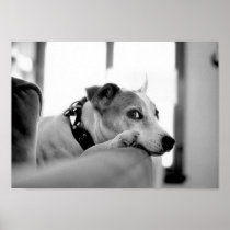 You Talkin' To Me? Print