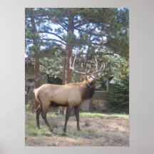 You talking to me? print