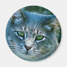 You Talking To Me? Refrigerator Magnets