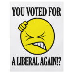 You voted for a liberal again!? flyers