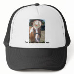 You wear this stupid hat!