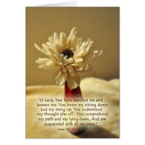 YouhavesearchedmeZazzle Card